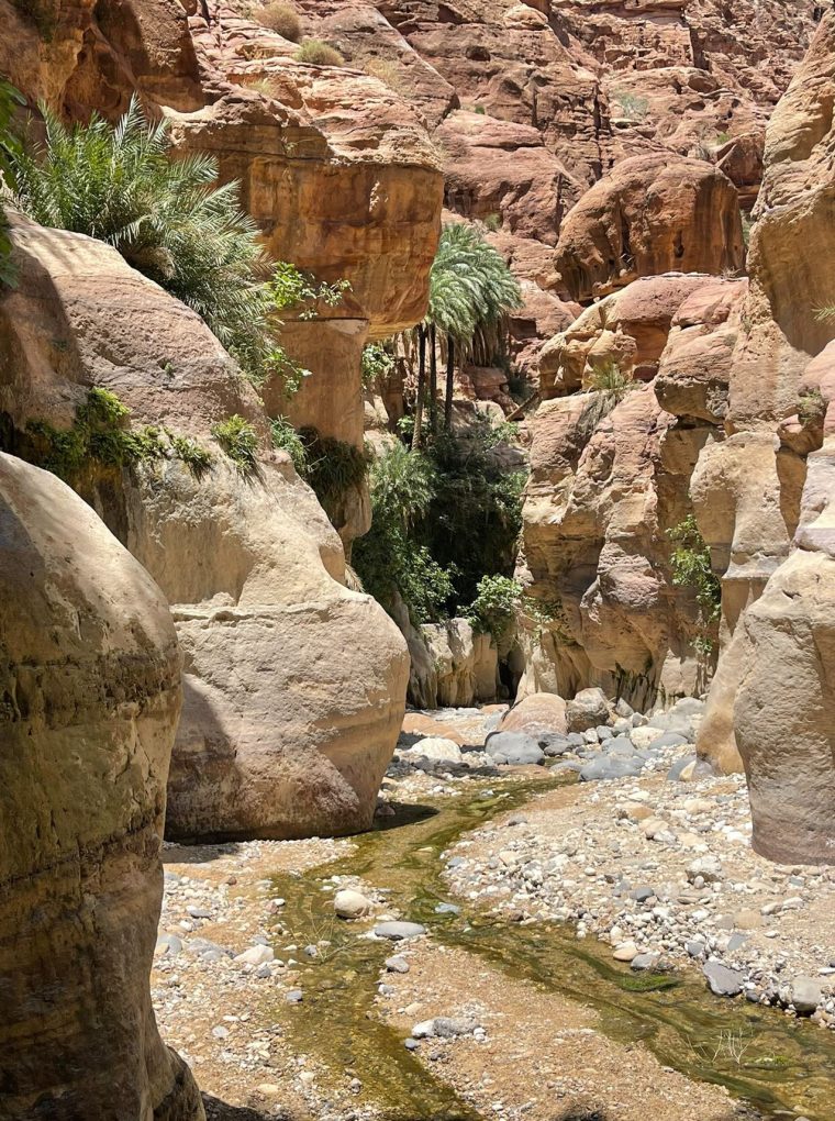 DC458F4F-F18D-4E45-B689-B700D7C23D49